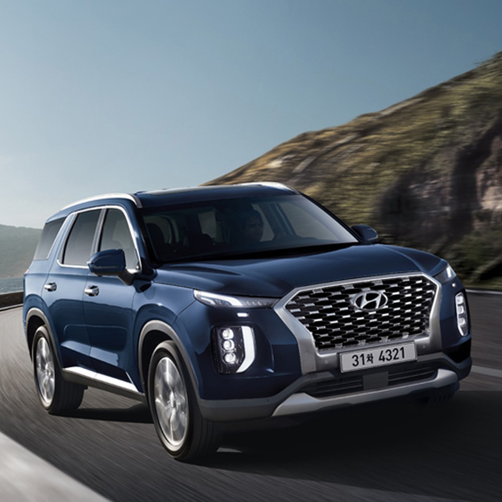 팰리세이드 8인승